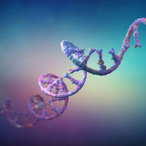 RNA Strands